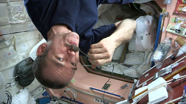 Tested Makes Gourmet Space Food for Astronaut Chris Hadfield