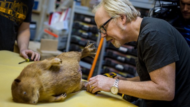 One Day Builds: Adam Savage’s Traveling Beaver Box