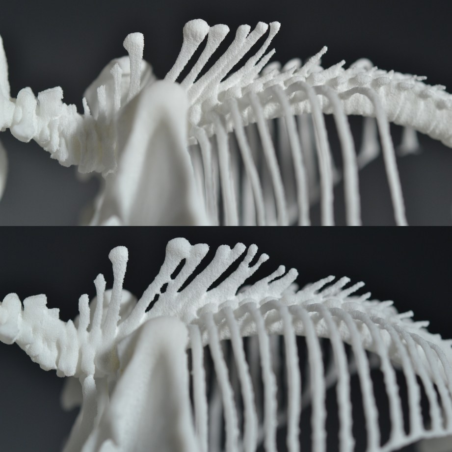 TOP: Sean BOTTOM: PS - Neck has lost detail and spine bones have fused together.