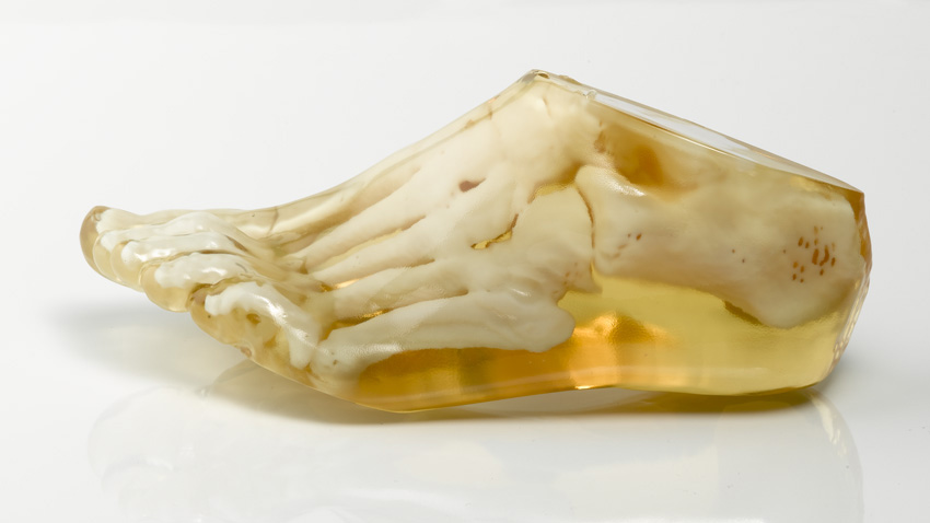 A foot, printed all at once with clear rubber and white plastic materials. CREDIT: Stratasys