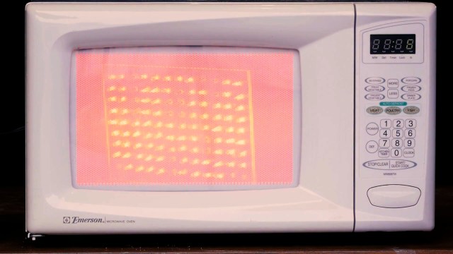 Visualizing Energy Inside a Microwave Oven!