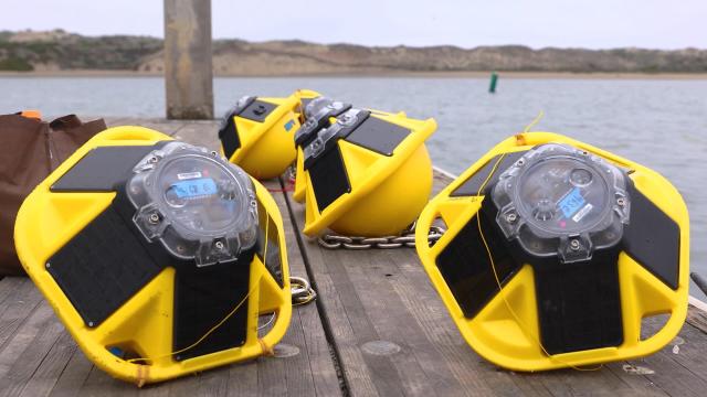 Tested: Deploying Ocean Sensors from a Plane!