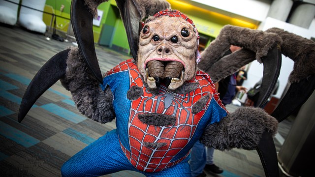 Incredible Man-Spider Cosplay at Silicon Valley Comic Con