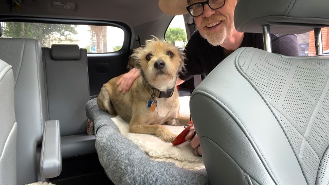 Adam Savage’s One Day Builds: Car Seat Dog Bed!